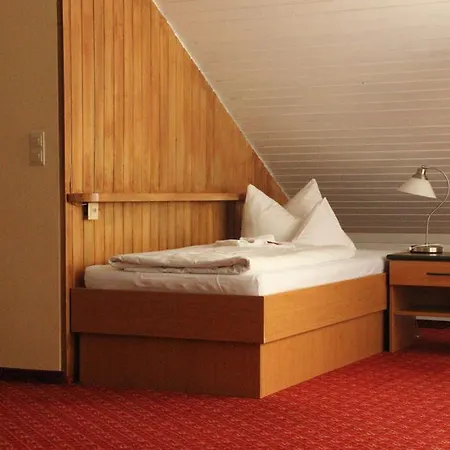 Traube Hotel Offenburg